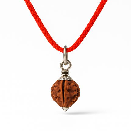 Natural 3 Mukhi Rudraksh | 100% Authentic - 18mm to 22mm