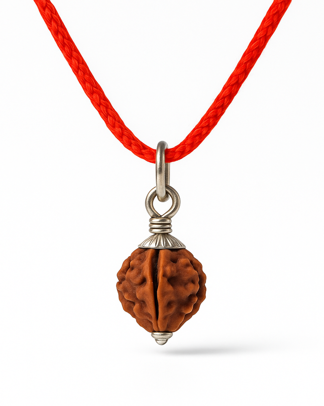 Natural 3 Mukhi Rudraksh | 100% Authentic - 18mm to 22mm