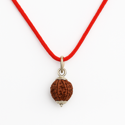 Nepali 7 Mukhi Rudraksh | 100% Authentic - 18mm to 22mm