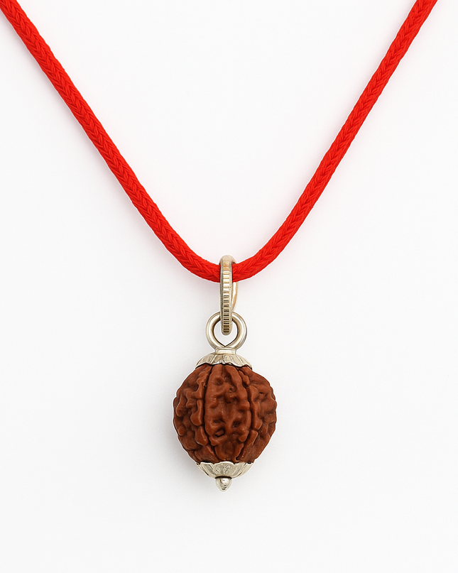 Nepali 7 Mukhi Rudraksh | 100% Authentic - 18mm to 22mm