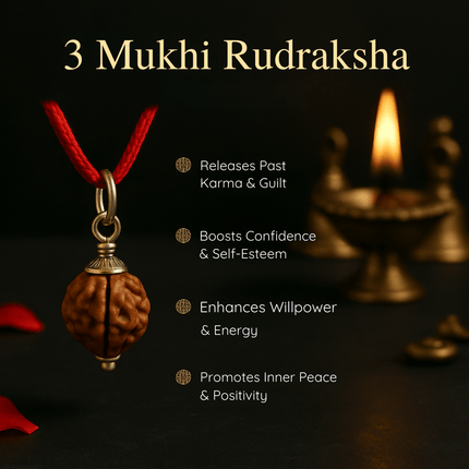 Natural 3 Mukhi Rudraksh | 100% Authentic - 18mm to 22mm - Shubh Mala
