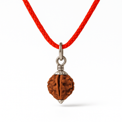 Natural 3 Mukhi Rudraksh | 100% Authentic - 18mm to 22mm - Shubh Mala