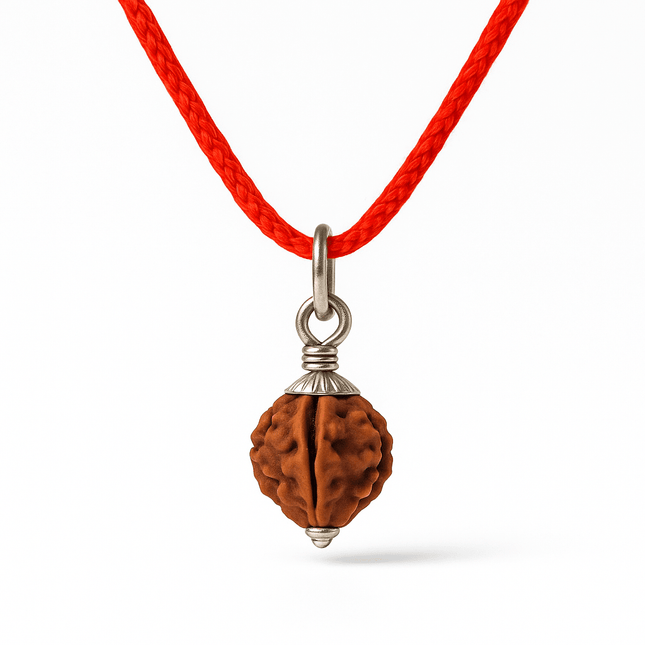 Natural 3 Mukhi Rudraksh | 100% Authentic - 18mm to 22mm - Shubh Mala