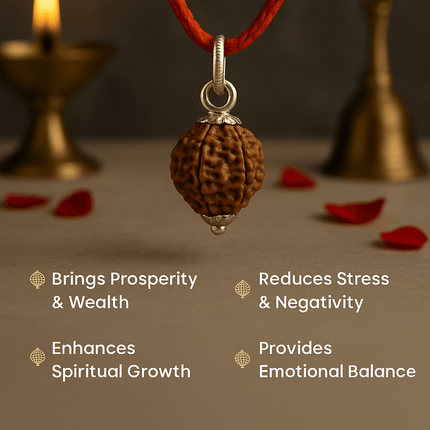 Nepali 7 Mukhi Rudraksh | 100% Authentic - 18mm to 22mm - Shubh Mala