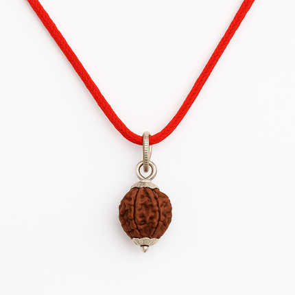 Nepali 7 Mukhi Rudraksh | 100% Authentic - 18mm to 22mm - Shubh Mala