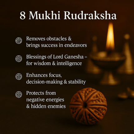 Nepali 8 Mukhi Rudraksh | 100% Authentic - 18mm to 22mm - Shubh Mala