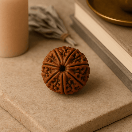 Nepali 8 Mukhi Rudraksh | 100% Authentic - 18mm to 22mm - Shubh Mala